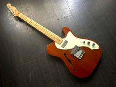 Epiphone Mexico   Telecaster Thinline　LINDY FRALIN　PU_5