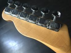 Epiphone Mexico   Telecaster Thinline　LINDY FRALIN　PU_7
