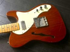 Epiphone Mexico   Telecaster Thinline　LINDY FRALIN　PU_8