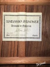 Antonio Sanchez [アントニオ・サンチェス] Profesor-1 Spruce 2013年製_8