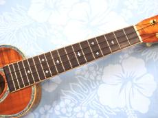 Kawakami S-K5NP_4