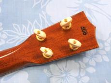 Kawakami S-K5NP_6