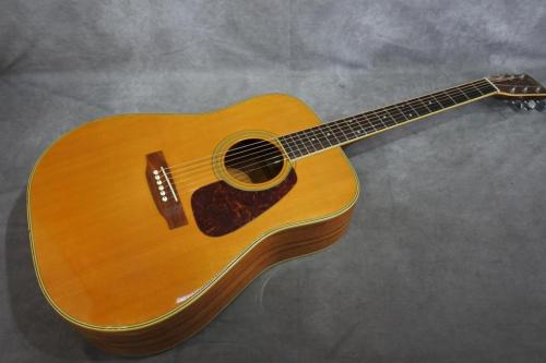 Morris MD-514　ワンオーナー