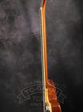Epiphone Wildkat_9
