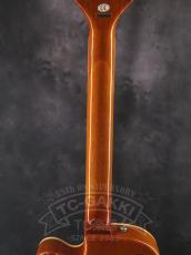 Epiphone Wildkat_13