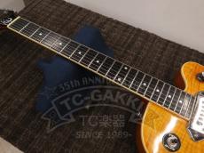 Epiphone Wildkat_16