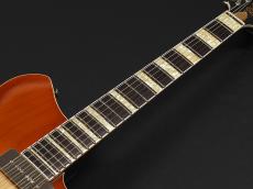 Rivolta Guitars Combinata VII ~Autunno Burst~_8