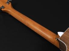 Taylor 214ce Walnut ~Natural~_9