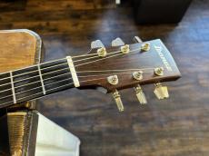 Ibanez AW-100_6