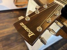 Ibanez AW-100_8