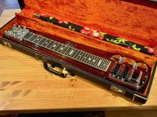 Fender Deluxe 6 feat STRING MASTER【6弦】【1960年代後期製】_8