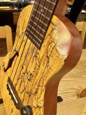 T's ECF-300pf【スポルテッドメイプル】【2010年製】【ショッピングクレジット無金利&超低金利】_5