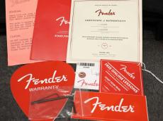Fender American Performer Stratocaster Maple Satin Lake Placid Blue 2020_11