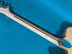 Fender TELECASTER THINLINE_8
