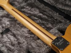 Fender 2018 Limited Edition American Pro Telecaster Maple Fingerboard ~Butterscotch Blonde~_11