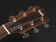 Taylor 114ce Special Edition ~Dark Tobacco Shaded Edgeburst~_3