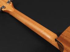Taylor 114ce Special Edition ~Dark Tobacco Shaded Edgeburst~_9