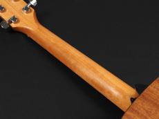 Taylor 117e Special Edition ~Dark Tobacco Teardrop Burst~_9