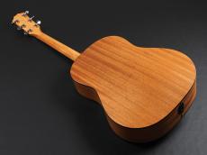 Taylor 117e Special Edition ~Dark Tobacco Teardrop Burst~_12
