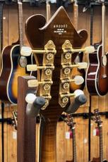 Heritage H-5 '94_7