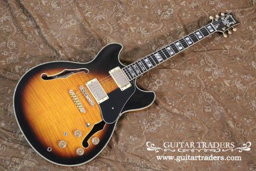 Ibanez 2021 JSM10