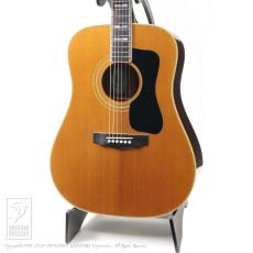 Guild D-55
