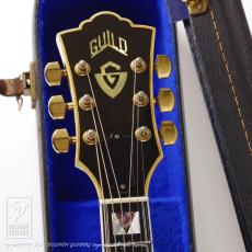Guild D-55_6