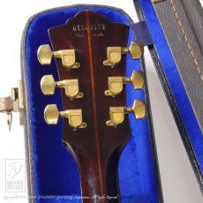 Guild D-55_7