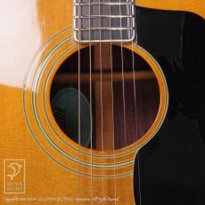 Guild D-55_13