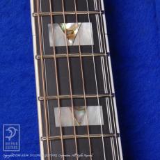 Guild D-55_14