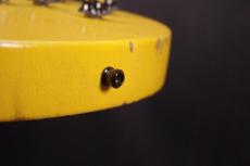 Gibson LesPaul Special _6