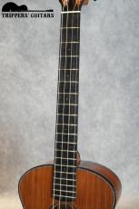 DeVine Baritone Custom (2025)_7