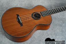 DeVine Baritone Custom (2025)_14