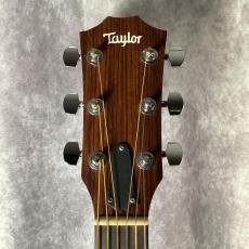 Taylor 114e_2