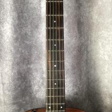Taylor 114e_3