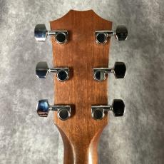 Taylor 114e_6