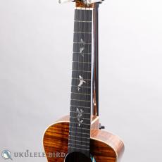 aNueNue  aNN-Kwhale_5