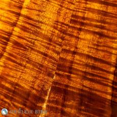 aNueNue  aNN-Kwhale_10