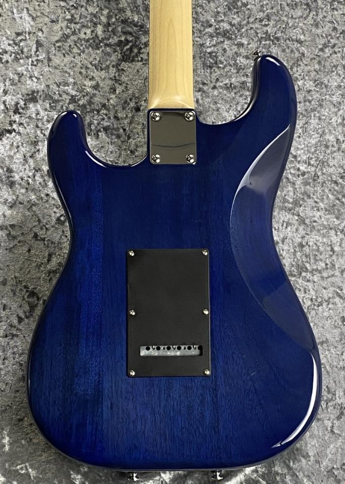 シェクターEX modified 22F ブルー シェクターEX modified 22F ブルー
