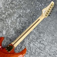 FUJIGEN Expert ODYSSEY EOS2-FM-R/RKG ~Ripe Kaki Gradation~ #K240317 [3.75kg]_10