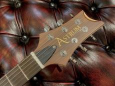 Astrum Guitars Aries Metal SSH Piezo Spalted -Natural to Blue Burst-_4