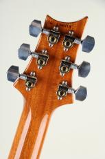 Paul Reed Smith [PRS] Wood Library McCarty 594 Brazilian Rosewood FB Yellow Tiger 2016_7