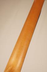 Taylor 114ce #2202205304【オーディトリアムボディ】_9