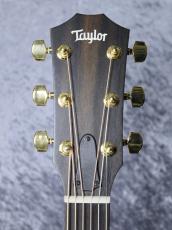 Taylor 【オールハワイアン・コア】224ce Koa DLX_11