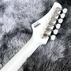 T's DST-Classic22 Wood PG Open-White【特価】 【日本製】_8