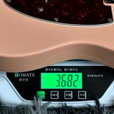 Fender Limited Edition Player II Telecaster, Rosewood Fingerboard, Shell Pink 【特価】_11