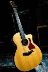 Taylor 214ce  / 2012_2