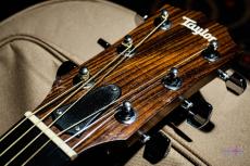 Taylor 214ce  / 2012_3