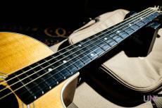 Taylor 214ce  / 2012_4