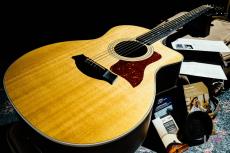 Taylor 214ce  / 2012_9